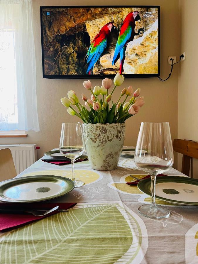 Apartament U Ani 1 ジビジノ エクステリア 写真