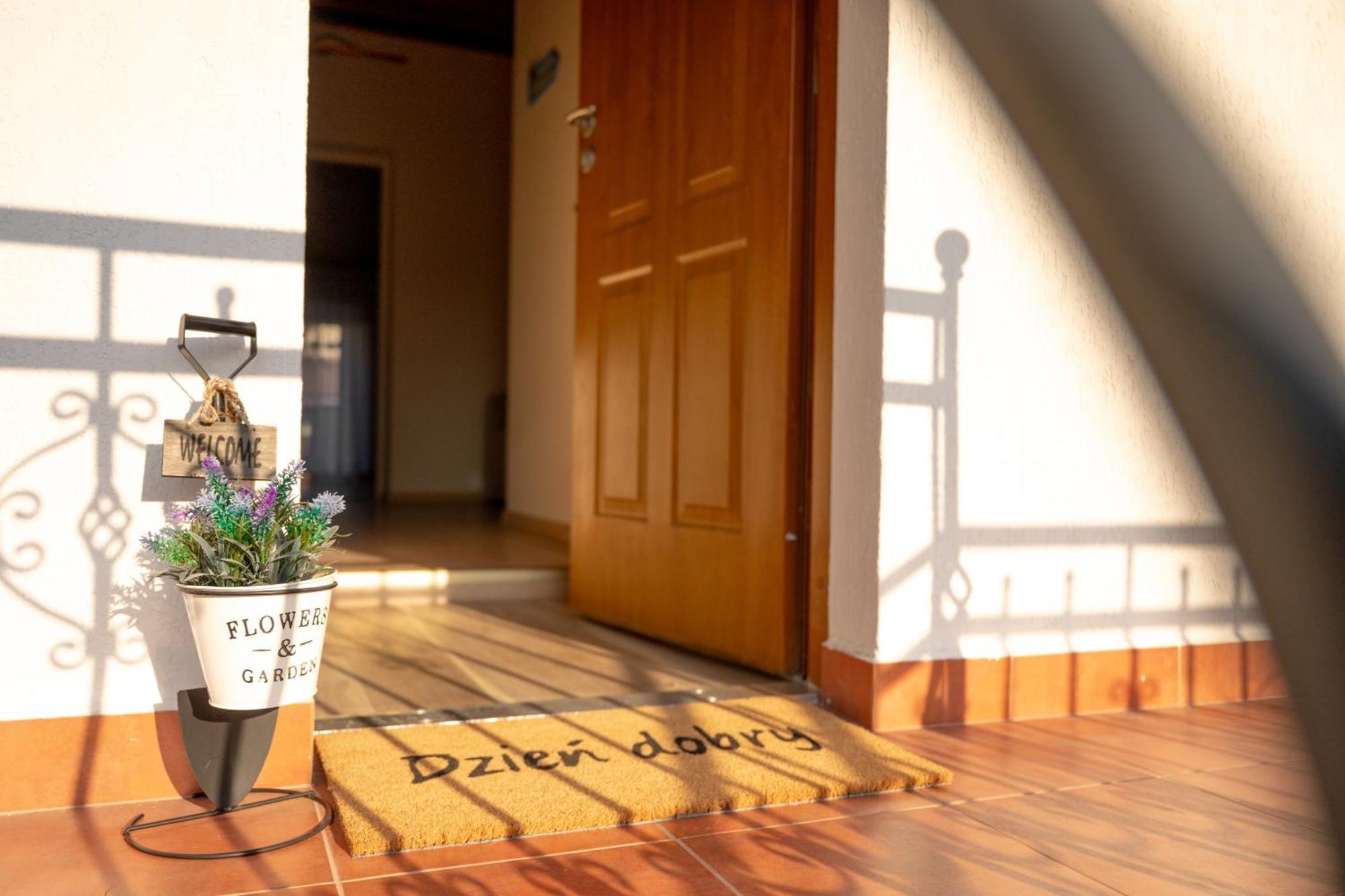 Apartament U Ani 1 ジビジノ エクステリア 写真