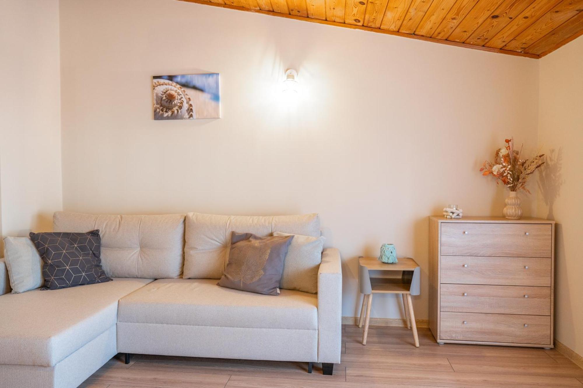 Apartament U Ani 1 ジビジノ エクステリア 写真