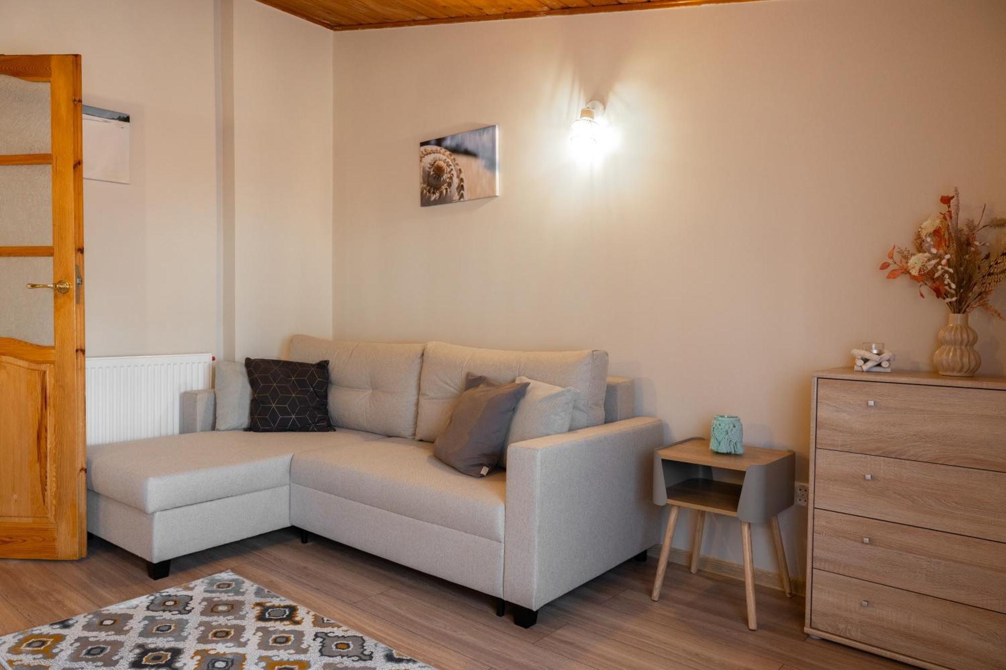 Apartament U Ani 1 ジビジノ エクステリア 写真