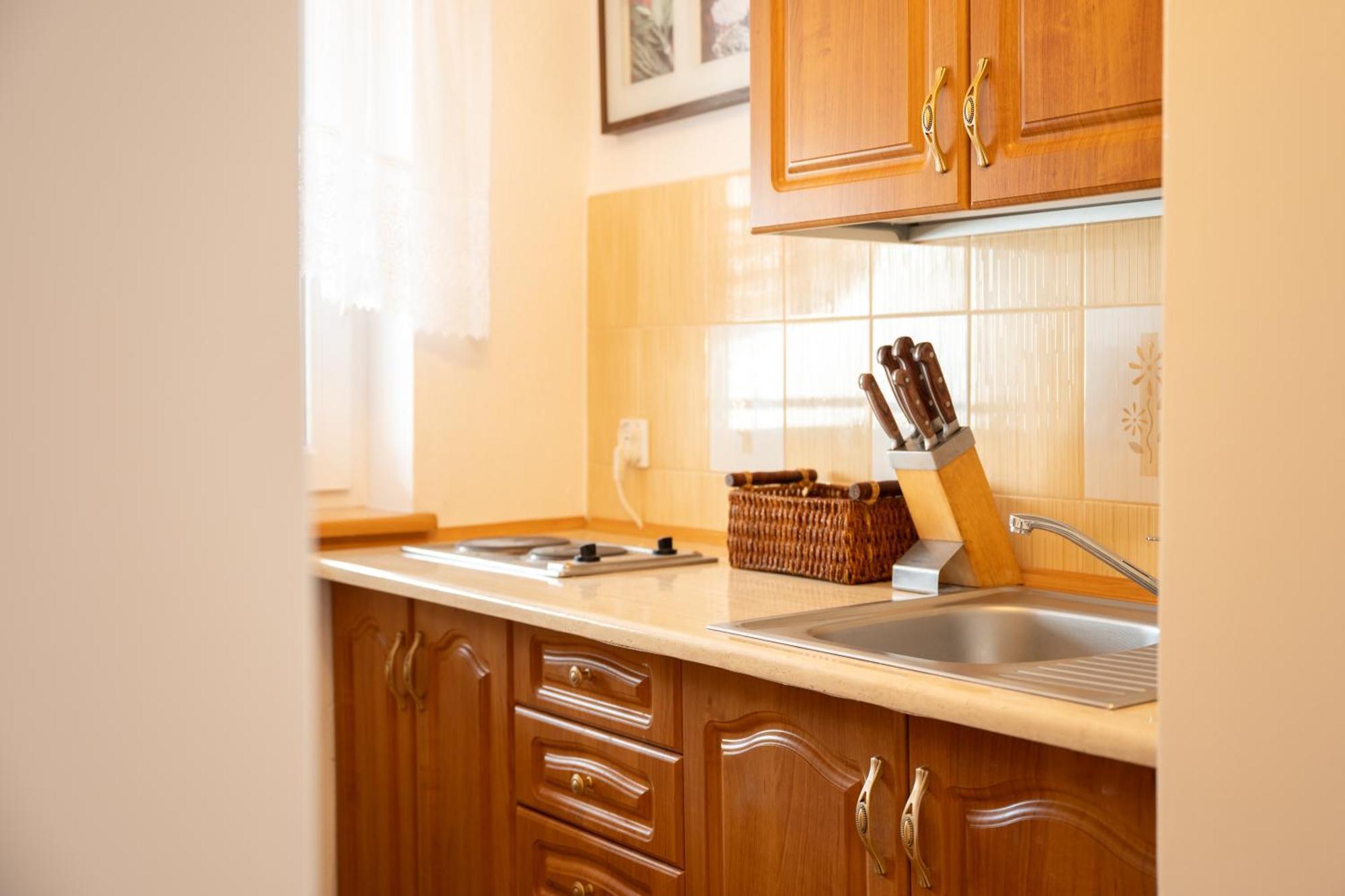 Apartament U Ani 1 ジビジノ エクステリア 写真