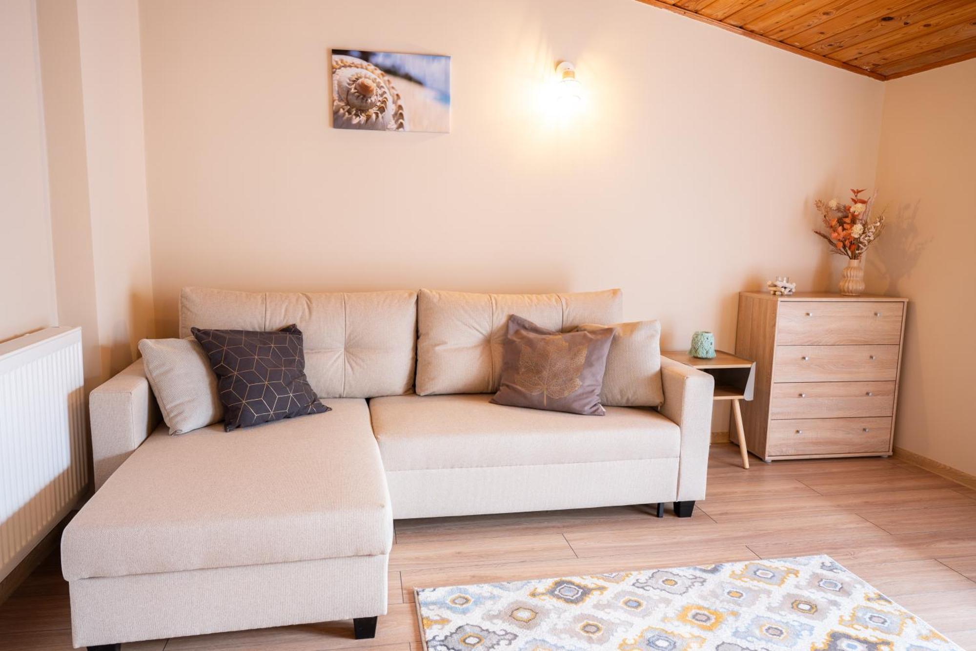 Apartament U Ani 1 ジビジノ エクステリア 写真