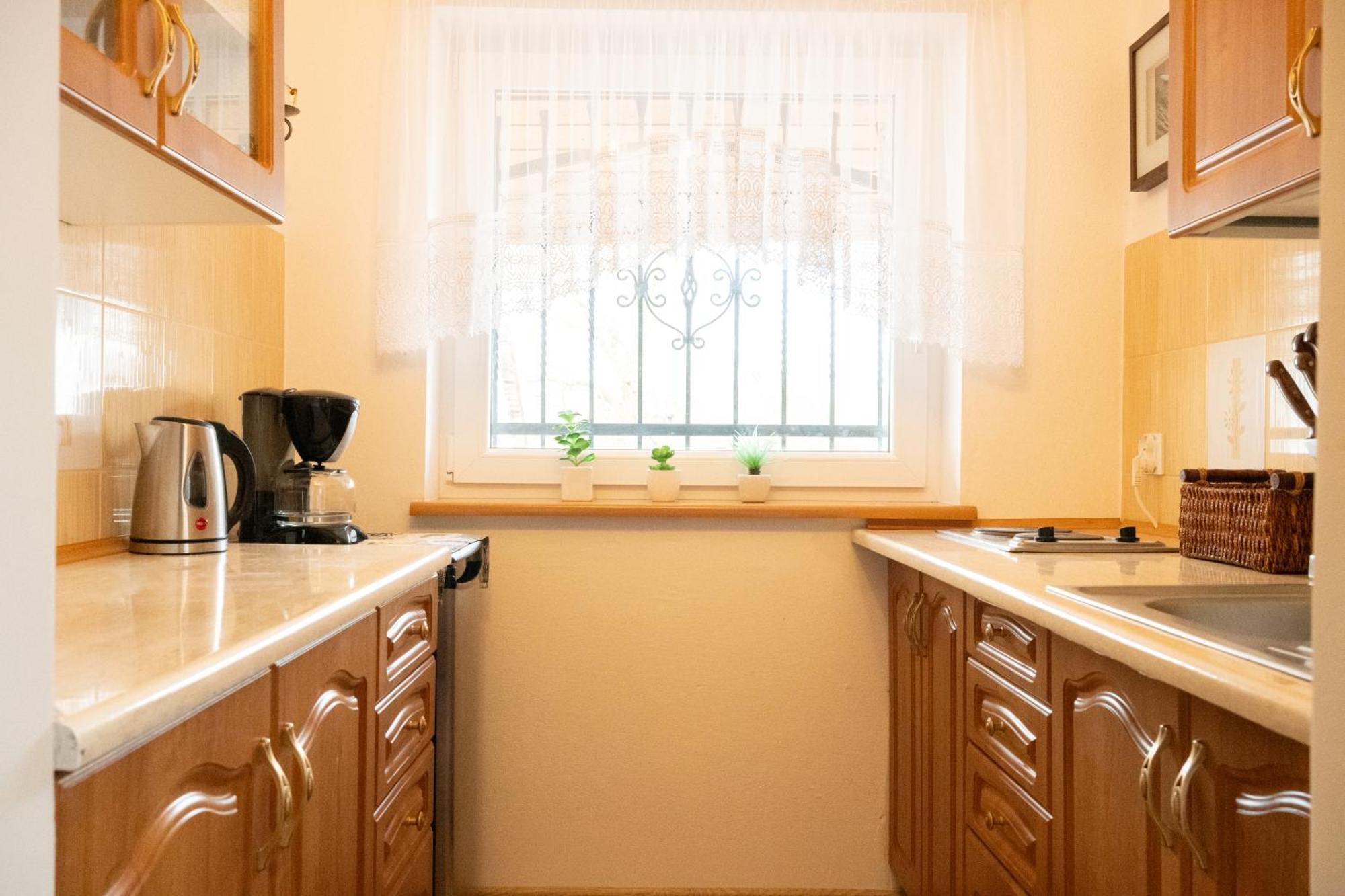 Apartament U Ani 1 ジビジノ エクステリア 写真